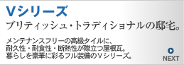 V Series �e�L�X�g