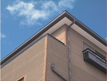 NEW L�V���[�Y�̏����̂��ۂȃt�H����