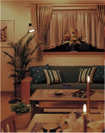 �t�@�~���[���r���O