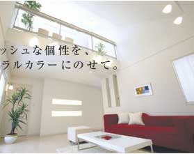 �j���[�g�����J���[�ɂ̂��āB